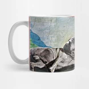 Creation of the pug Mug